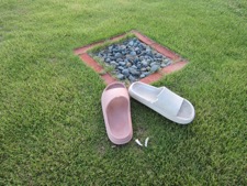 41687D0C-30D1-4D9A-933E-B6389C4FB044