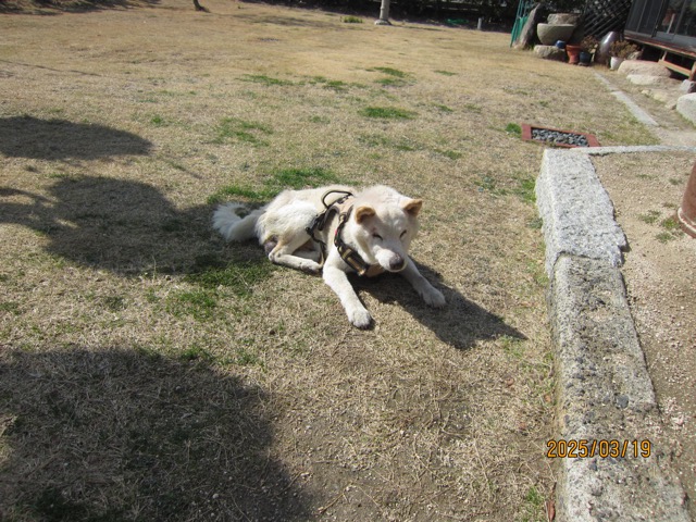 IMG_7971.JPG