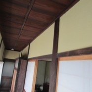 IMG_8025.JPG