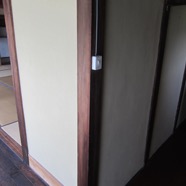 IMG_8029.JPG