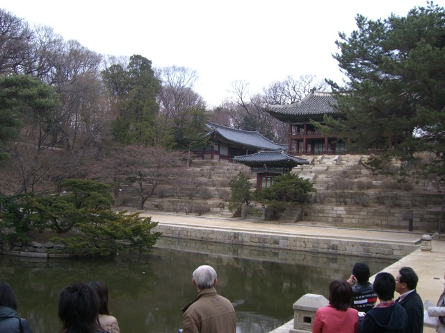 CIMG0040.JPG