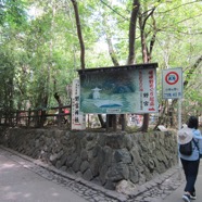 IMG_8086.JPG